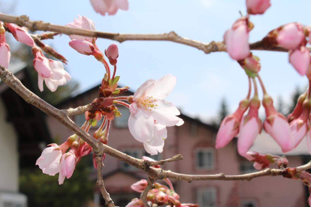 Pension Candytuft Каруидзава Экстерьер фото