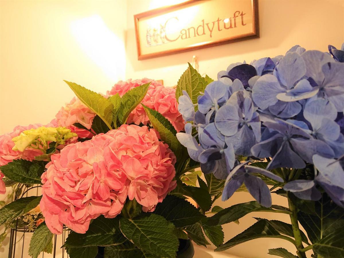Pension Candytuft Каруидзава Экстерьер фото